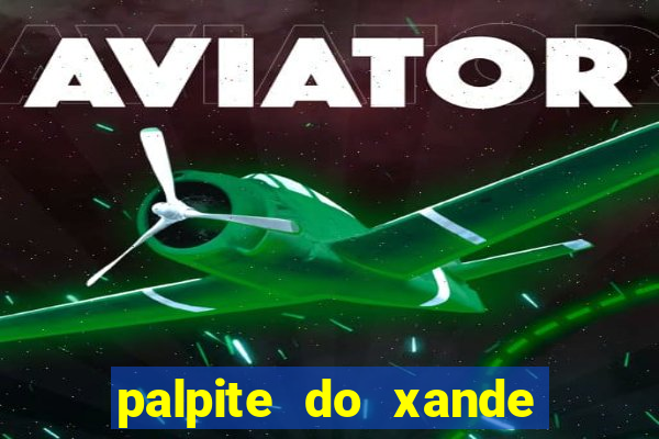 palpite do xande de hoje